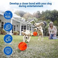 Jouet pour chien futuriste, mignon et couineur, à ressort, pour mâcher, pour animaux hyperactifs, équipement de protection suprême contre les morsures