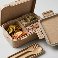 Boîte à lunch coréenne écologique, ensemble de boîtes à lunch en plastique, boîte à lunch bento avec poignée, couvercle en PP, 2 compartiments, boîte à lunch rectangulaire pour l'école, le bureau