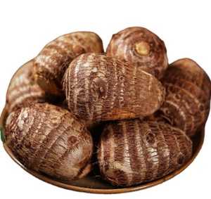 القلقاس الطازج المجفف بالتجميد محفوظ بأسلوبه الطبيعي - Product Image 5