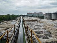 Traitement biologique Probiotiques pour la désintoxication des eaux usées Usine de traitement des eaux usées municipales Désintoxication des eaux usées bactériennes
