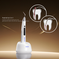 Stylo endodontique électrique sans fil à LED pour gutta-percha avec 5 embouts d'aiguilles d'irrigation endodontique, équipement dentaire rechargeable