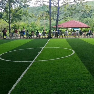 JS Ecológico Campo de fútbol Césped artificial Suelo deportivo Futsal Césped artificial para parque infantil - Product Image 1