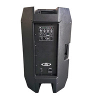 Haut-parleur actif OEM ODM série V3 12/15 pouces 700W, haut-parleur audio professionnel avec DSP, filtre FIR