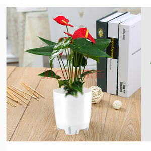 Moderno Gran venta al por mayor flor olla <span class=keywords><strong>barato</strong></span> - Product Image 3