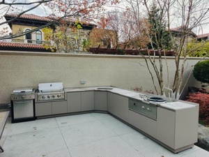 Hiện đại thân thiện với môi không gỉ MDF carcase bồn rửa vòi Ngăn kéo trượt backsplash cho tủ ngoài trời cho nhà biệt thự nhà bếp bản lề - Product Image 4