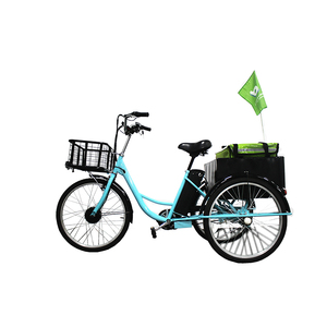 Wholesale electric tricycle battery 
