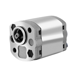 Cbkx-F200 personalizzabile singolo accessorio elicoidale pompa a ingranaggi idraulica per ascensore di potenza - Product Image 1