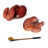 Miracle Boosterwhitening Verbeteren Pigmentatie Reishi Paddestoel Extract Ganodermalucidum Rainwood Poeder Capsule