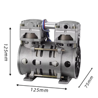 Compresseur d'air portable mini 3HP sans huile 12V/24V/48V DC silencieux à piston avec moteur à fil de cuivre 17L/min refroidi par air