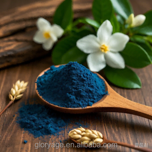 ชุดเครื่องสำอางสำหรับผู้หญิงพร้อมผงสีเปลี่ยนสีผมถาวร - Product Image 1