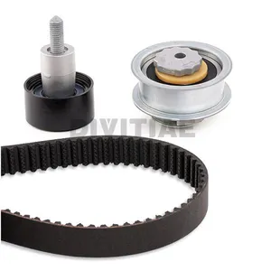 04E198119 04E198119A INA 530059210 Hot Sell Engine Timing Chain Belt Kit For Volkswagen Vw GOLF JETTA EA211