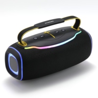 Système Stéréo TWS Multifonctionnel Portable Haute Puissance pour Haut-parleur Subwoofer, Entrées USB et AUX, Éclairage RGB, Étanchéité IPX6