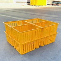 Cage de transport en plastique pour poussins, boîte à compartiments carrés pour poussins et canetons