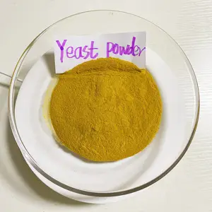 Aditivo nutritivo animal do pó do yeast