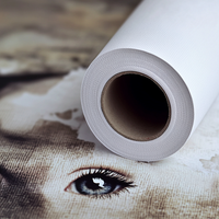 Belle qualité toile tissu clair rétro-éclairé Textile impression numérique rouleaux de toile d'impression