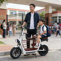 Scooter électrique pliable 48V 500W avec pneus de 14 pouces, deux sièges, mini cyclomoteur électrique avec siège enfant, scooter pour animaux de compagnie