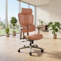 Chaise de bureau ergonomique réglable et inclinable, entièrement en maille noire, haute, avec dossier amovible, pour cadres et salle d'attente, de fournisseurs vérifiés OEM ODM avec plus de 5 ans d'expérience