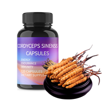 Capsules de supplément pour adultes à marque privée au Cordyceps Sinensis - 120 gélules - Soutient l'énergie et la santé du système immunitaire - Durée de conservation de 24 mois