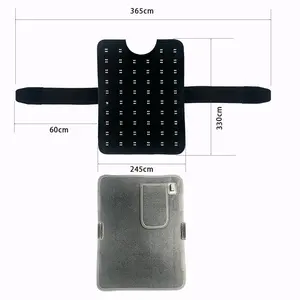 ペット赤色光赤外線理学療法器具猫犬背腹部損傷骨折治癒ポータブルワイヤレス USB - Product Image 3
