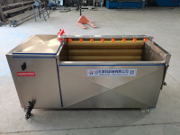 Wortel Groente Fruit Wassen Peeling Machine/Borstel Wassen Plassen Machine/Gember Peeling Machine