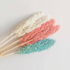 El mundo <span class=keywords><strong>de</strong></span> <span class=keywords><strong>las</strong></span> flores <span class=keywords><strong>de</strong></span> sorgo secas más vendidas para boda/<span class=keywords><strong>casa</strong></span>/decoración del hogar arreglo floral - Product Image 2