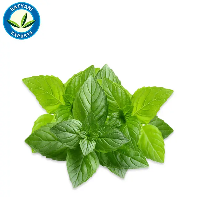 Pure Peppermint Essential Oil Bulk/ 100% Organic & Pure Peppermint oil