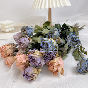 Decorazione a lunga durata piccola rosa rosa essiccata Posy <span class=keywords><strong>Rose</strong></span> vere essiccate <span class=keywords><strong>con</strong></span> steli per il matrimonio - Product Image 3