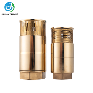 Kupfer-Doppeltür-Bodenventil Rückschlagventil zur Betankung der Kraftstoffleitung für Tankstellen - Product Image 1