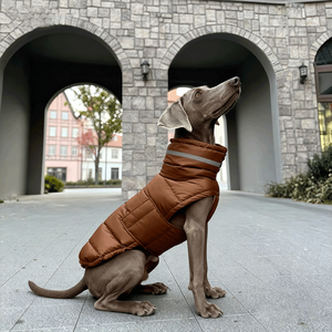 ג 'קט פוליאסטר עיצוב מותאם אישית רפלקט ג' קט פוליאסטר לשמור על כלב חם עמיד למים למטה האפוד יוקרתי לחיות מחמד בחורף - Product Image 4