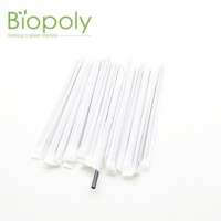 Pailles en PLA industrielles sans BPA, biodégradables, pour café, boissons à emporter, hôtel, approvisionnement en gros