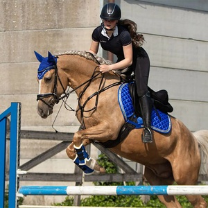 Aochi Factory Horse Horse Jumping portatile in alluminio stand equestre Racing Training Horse Show Jump Wing - Product Image 4