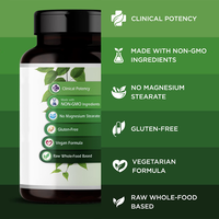 Capsules du complexe de vitamine B LIFEWORTH comprenant de l'acide folique et des vitamines B à spectre complet pour la santé immunitaire du cerveau