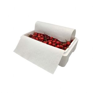 Sous-couche absorbante en pulpe simple couche de haute qualité pour fraises – Solution écologique pour légumes et fruits - Product Image 1