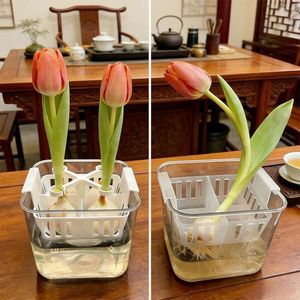 Soporte antivuelco para tulipanes hidropónicos, soporte de cesta de 4 orificios, equipo de riego para estabilidad del crecimiento - Product Image 4