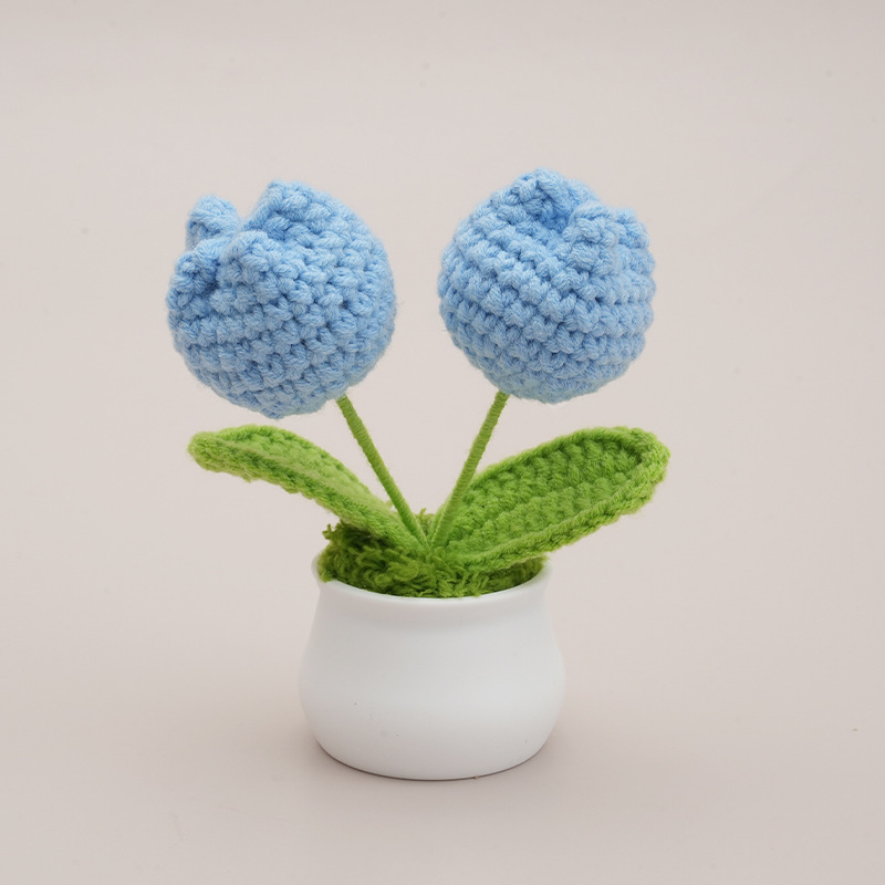 Tulip double-headed bouquet potted plant-sky blue