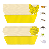 Protéger la plante insecte colle piège à mouches papier mouche colle piège collant fruits mouche piège