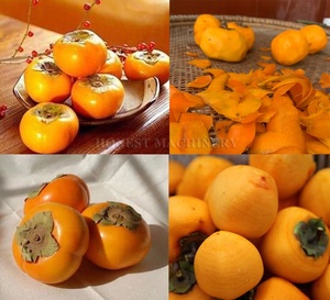 Paslanmaz çelik endüstriyel limon soyma makinesi/soyulmuş limon/trabzon hurması soyma makinesi - Product Image 6