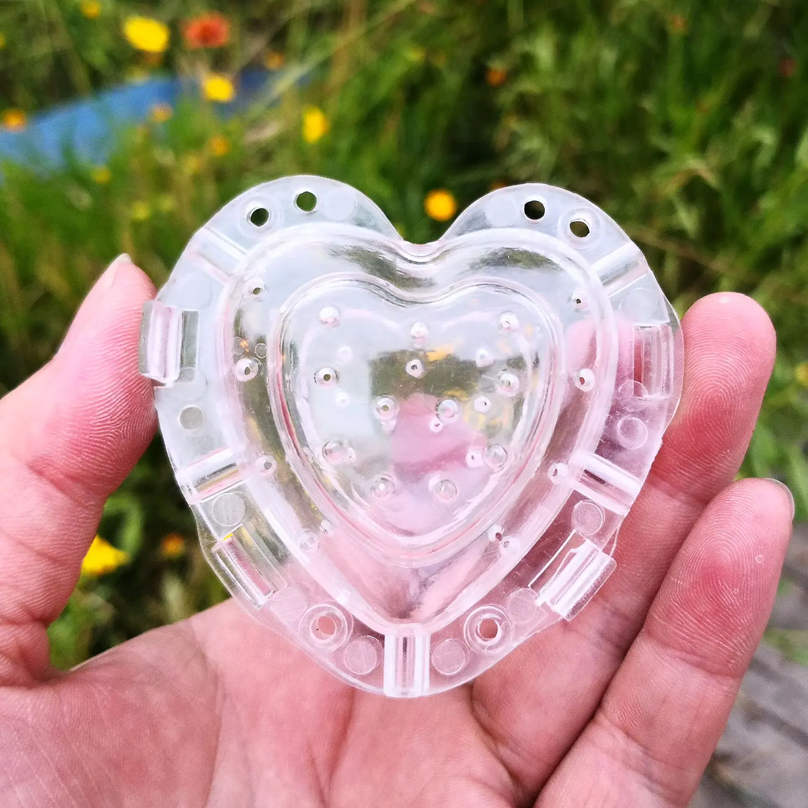 Love heart-shaped strawberry mold ginseng fruit shape fruit shaping growth melon cucumber mold