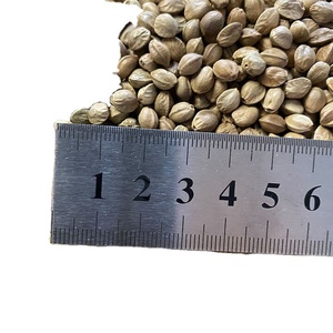 Semi di Canapa Industriali Premium Biologici USDA, Sgusciati, Non-OGM, Ricchi di Proteine Vegetali per Frullati, Cottura e Diete Vegane - Product Image 4