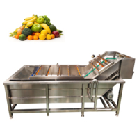 VBJX RVS Sus304 Vortex Groentewasmachine Multifunctionele Commerciële Fruitwasser Reiniger met Ozon