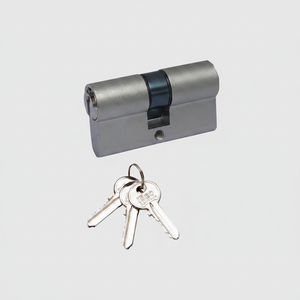 Cilindro Serratura ISEO 8209 Nichelato Satinato 56mm 28x28mm con Chiave in Ottone Formato MM 56 28x28 Prodotto in Italia - Product Image 2