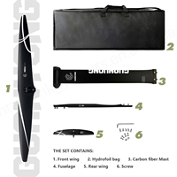 Oferta 2025: GY-HP ART 1401, Hydrofoil de Fibra de Carbono de Alto Rendimiento, 1611 cm², Mástil de Carbono Completo, Tabla de Kitesurfing, Color Negro