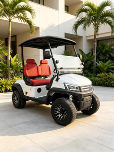 Voiturette de golf électrique 2 places haute puissance certifiée CE GCC EEC, personnalisée avec accessoires de chariot de golf, directement de l'usine - Product Image 1