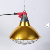 Lampe Chauffante Étanche Respectueuse des Animaux pour Poulets, Porcs, Cages de Naissance, Nouveaux Incubateurs, Porcheries 220V Métal