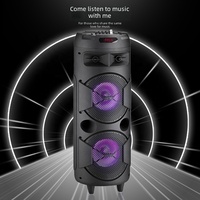 Altoparlante Surround Ricaricabile Personalizzato 20W, Doppio Woofer da 8 Pollici con Magnete da 60mm, Batteria da 2400mAh, 2 Microfoni Wireless, FM, USB, TF, TWS