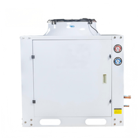 Unité de condensation de type armoire refroidie par air pour les travaux de réfrigération intensifs des entrepôts frigorifiques