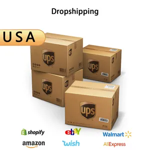 dropshipping agent from china to usa