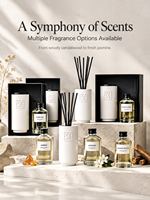 Ensemble diffuseur de parfum en céramique liquide haut de gamme avec logo personnalisé, parfum d'ambiance pour la maison, coffret cadeau écologique, OEM ODM, marque privée