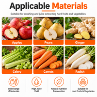 Industriële fruitpers Goldenshell continu type, superieure prestaties, apparatuur voor het extraheren van fruitpulp