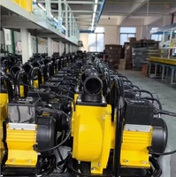 Pompe à Eau Solaire à Grand Débit 1100W en Vente Directe d'Usine pour Irrigation et Agriculture, Support OEM Personnalisé, Pompe de Surface Solaire DC